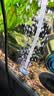 森森鱼缸增氧泵水族箱氧气泵LQE-200家用小型充氧泵4W双孔+全套配件 实拍图
