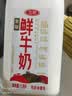 三元全脂鲜牛奶1.8L 大桶家庭装 巴氏杀菌 鲜奶牛奶 新老装交替发 实拍图