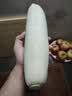 【霜打菜】白萝卜约1kg 实拍图