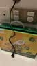 佳沛（zespri）新西兰金奇异果10粒巨大果146-175g猕猴桃水果礼盒 实拍图