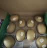 佳沛（zespri）新西兰金奇异果10粒巨大果146-175g猕猴桃水果礼盒 实拍图