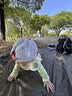 WELLHOUSE户外防潮垫折叠帐篷垫子沙滩野餐垫地钉收纳袋 军绿色1.4*2m 实拍图