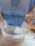 碧然德（BRITA）过滤净水器 家用滤水壶 净水壶 海洋系列 去水垢专家版滤芯11枚 环保加固包装 实拍图