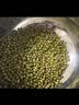 十月稻田 绿豆 500g 一级 低脂粗粮 东北杂粮 绿豆汤 可发豆芽 豆浆豆 实拍图