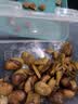 三只松鼠兰花豆牛肉味 坚果炒货零食地方特产小吃蚕豆205g/袋 实拍图