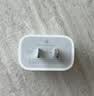 Apple/苹果 原装正品20W type-c充电器 苹果usb-c充电器手机快充头 旗舰店苹果iPhone 18 Pro Max充电器 实拍图