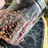 回味颂丁香50g罐装 火锅烧炖肉卤料 热红酒料 香辛料大料调味料公丁香 实拍图