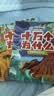 十万个为什么（彩绘注音版8册）正版5-8岁儿童科普百科 绘本 幼儿园 幼小衔接 小学生 寒假暑假课外阅读 自主阅读 对照小学语文科学新课标暑假作业 一升二暑假衔接 小升初暑假衔接  实拍图