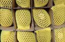 佳沛（zespri）新西兰金奇异果猕猴桃 5粒装 单果约88-103g 水果源头直发 实拍图