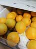 京觅秭归应季脐橙湖北鲜橙橙子净重8斤单果150g+新鲜水果源头直发包邮 实拍图