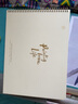 飞乐鸟 彩铅纸 油性专用彩铅画本 水溶性彩铅本空白画画本子绘画专用画纸写生彩铅绘画纸手绘本 【16K 24张/本】彩铅专用本（油性） 实拍图