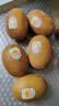佳沛（zespri）新西兰金奇异果猕猴桃 5粒装 单果约88-103g 水果源头直发 实拍图