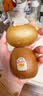 佳沛（zespri）新西兰金奇异果猕猴桃 5粒装 单果约88-103g 水果源头直发 实拍图