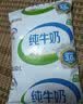 伊利纯牛奶240ml*16袋 整箱无菌利乐枕  学生营养早餐 家庭实惠装  实拍图