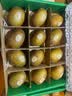佳沛（zespri）新西兰金奇异果12粒特大果124-146g猕猴桃水果礼盒 实拍图