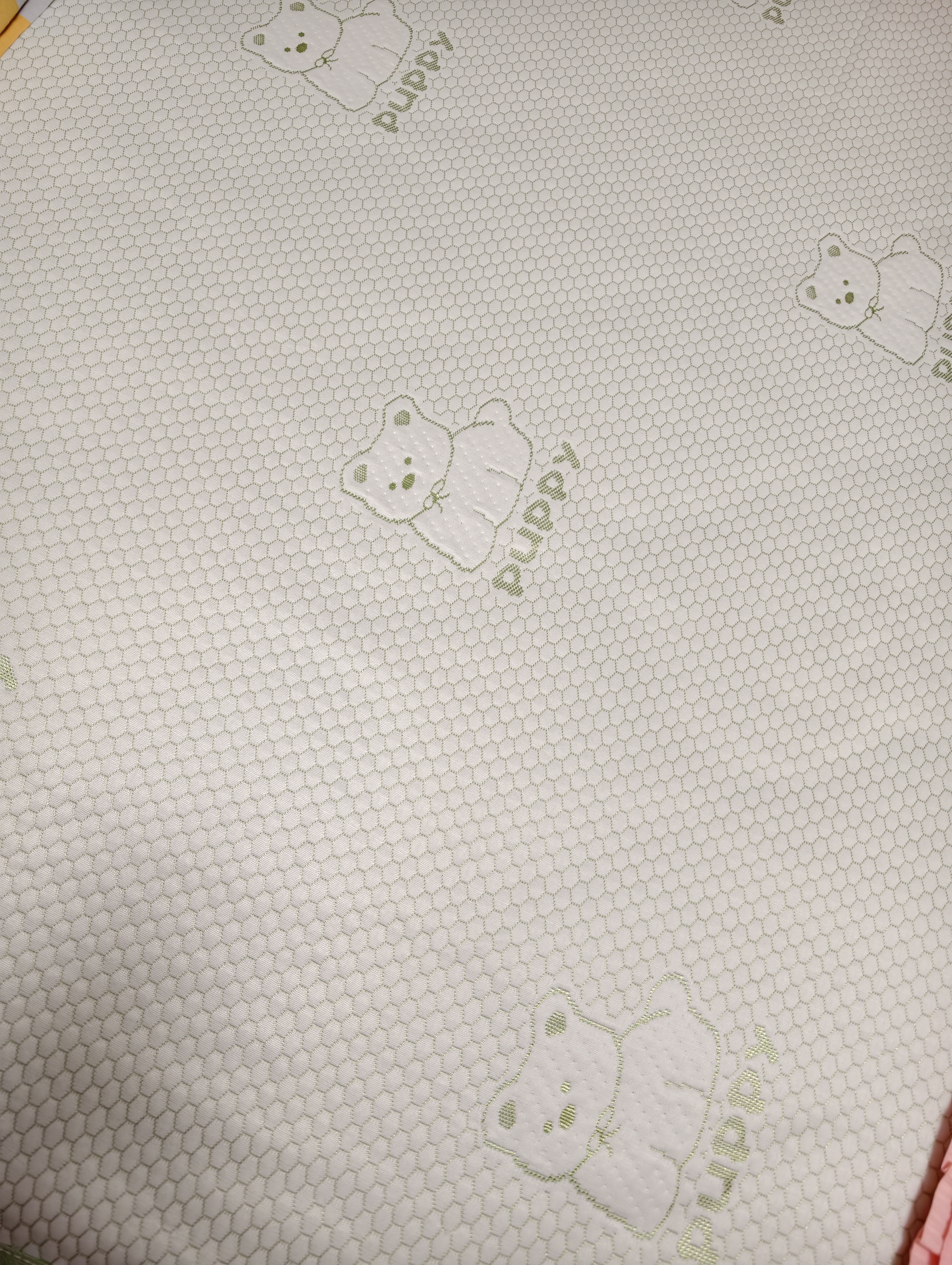 洁丽雅（Grace）A类豆豆凉席冰丝凉席夏天专用软席单席绿色150*200cm【可水洗】 实拍图