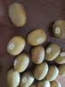 佳沛（zespri）新西兰金奇异果16粒经典果88-103g猕猴桃水果礼盒 实拍图