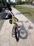 大行（DAHON)自行车锁山地车锁带折叠自行车锁防盗锁密码锁 密码锁 实拍图
