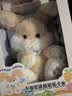 澳贝（auby）婴幼儿玩具宝宝早教唱跳躲猫猫安抚小兔毛绒玩偶生日新生儿见面礼 实拍图
