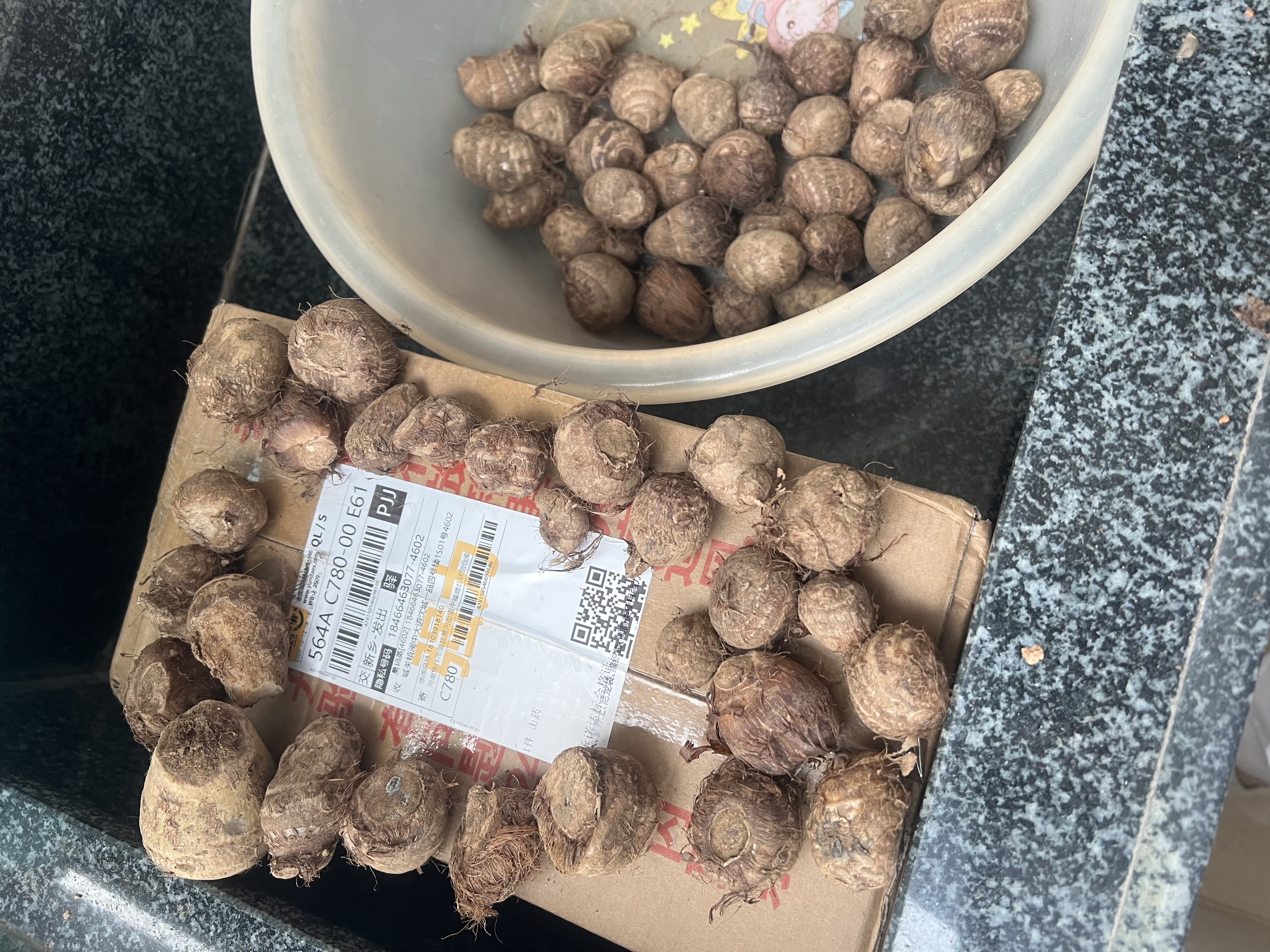 山东牛奶芋头软糯来京东蔬菜应季蔬果香芋芋头小果20g-40g/颗 牛奶小芋头1500g 实拍图