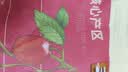 三只松鼠特级灰枣1000g红枣免洗新疆特产大枣蜜饯果干煮粥煲汤即食 实拍图