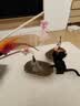 皇家猫粮 幼猫猫粮 幼猫奶糕 K36 通用粮 4-12月 4.5KG【宠物金选】 实拍图