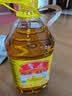鲁花 【保真花生油】食用油 5S 物理压榨 压榨一级 花生油4L非转基因 实拍图