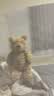 Jellycat巴塞罗熊动物毛绒玩偶儿童安抚公仔小熊潮玩送礼生日新婚礼物 巴塞罗熊 Medium 实拍图