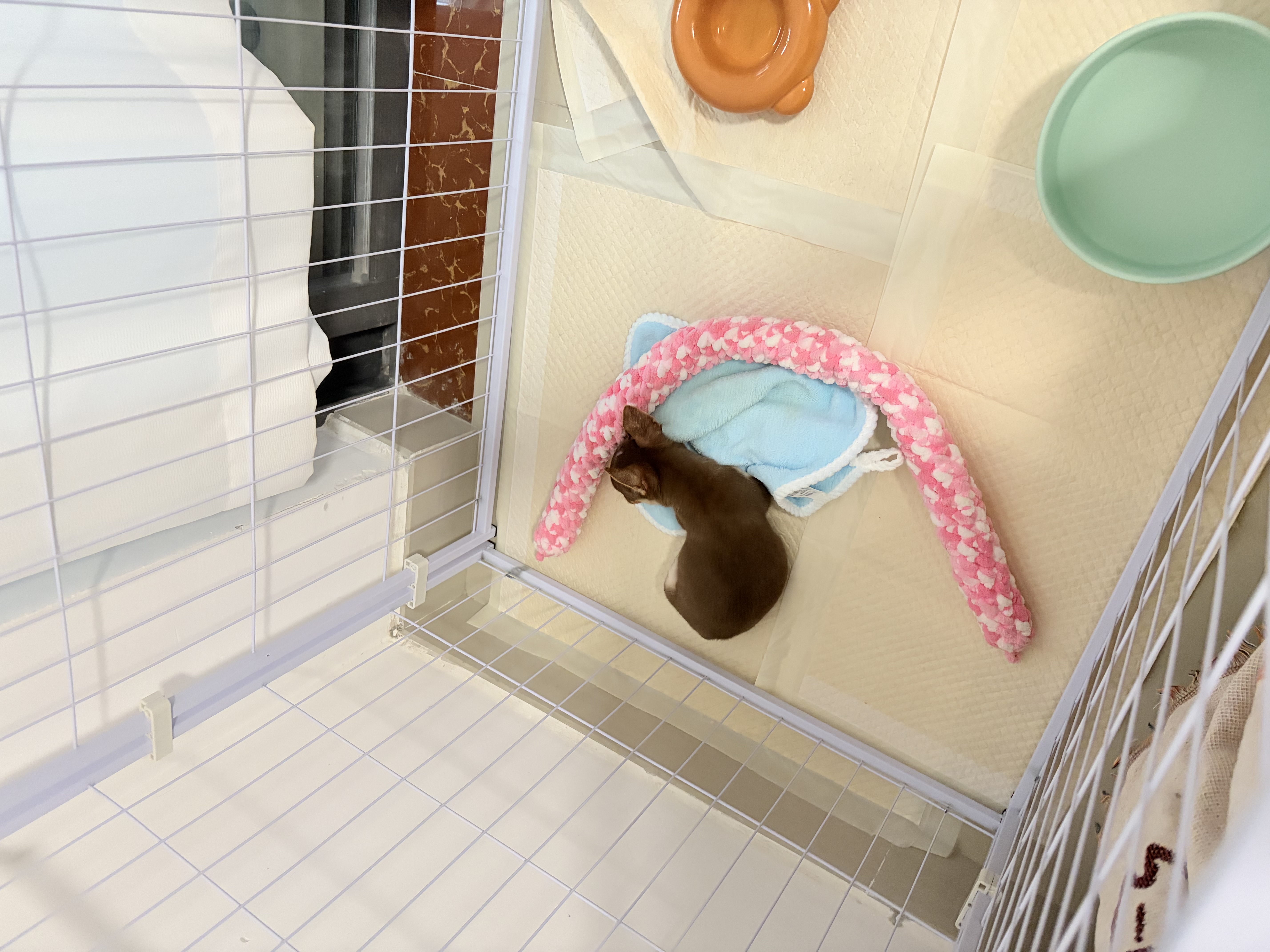 贝初众狗围栏室内宠物围栏狗笼子狗栅栏狗笼小中大型犬猫围栏狗笼折叠 120*60*60cm【适合中小型犬】 【6片】自由拼接组合围栏 加粗加密框架/无惧啃咬 实拍图