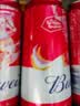 百威经典红罐啤酒552ml*12罐整箱装京东自营 实拍图