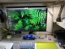 HKC 23.8英寸2K 180Hz高刷FastIPS硬件低蓝光HDR400广色域1ms游戏电竞PS5电脑显示器猎鹰 G24H2经典版 实拍图