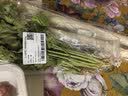 【火锅季】带根香菜100g 实拍图