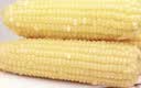 金沃瑞丰白糯玉米3.5斤220g*8根软糯甜粘低脂杂粮早餐【真有机假一赔万】 实拍图
