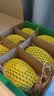 佳沛（zespri）新西兰阳光金奇异果6粒装88-103g猕猴桃水果水果礼盒 实拍图