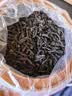 福茗源特级四大红茶500g 2026新茶金骏眉祁门小种红茶滇红茶叶礼盒送礼 实拍图