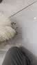台派狗粮泰迪小型犬成犬幼犬拉布拉多中型犬大型犬通用狗干粮2.5kg 实拍图