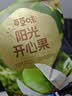 百草味开心果盐焗味100g 每日坚果干果休闲零食特产新老包装随机发 实拍图