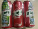 乌苏啤酒（wusu）双口味混合18罐（红500mL*12罐+楼兰500mL*6罐）组合装 实拍图