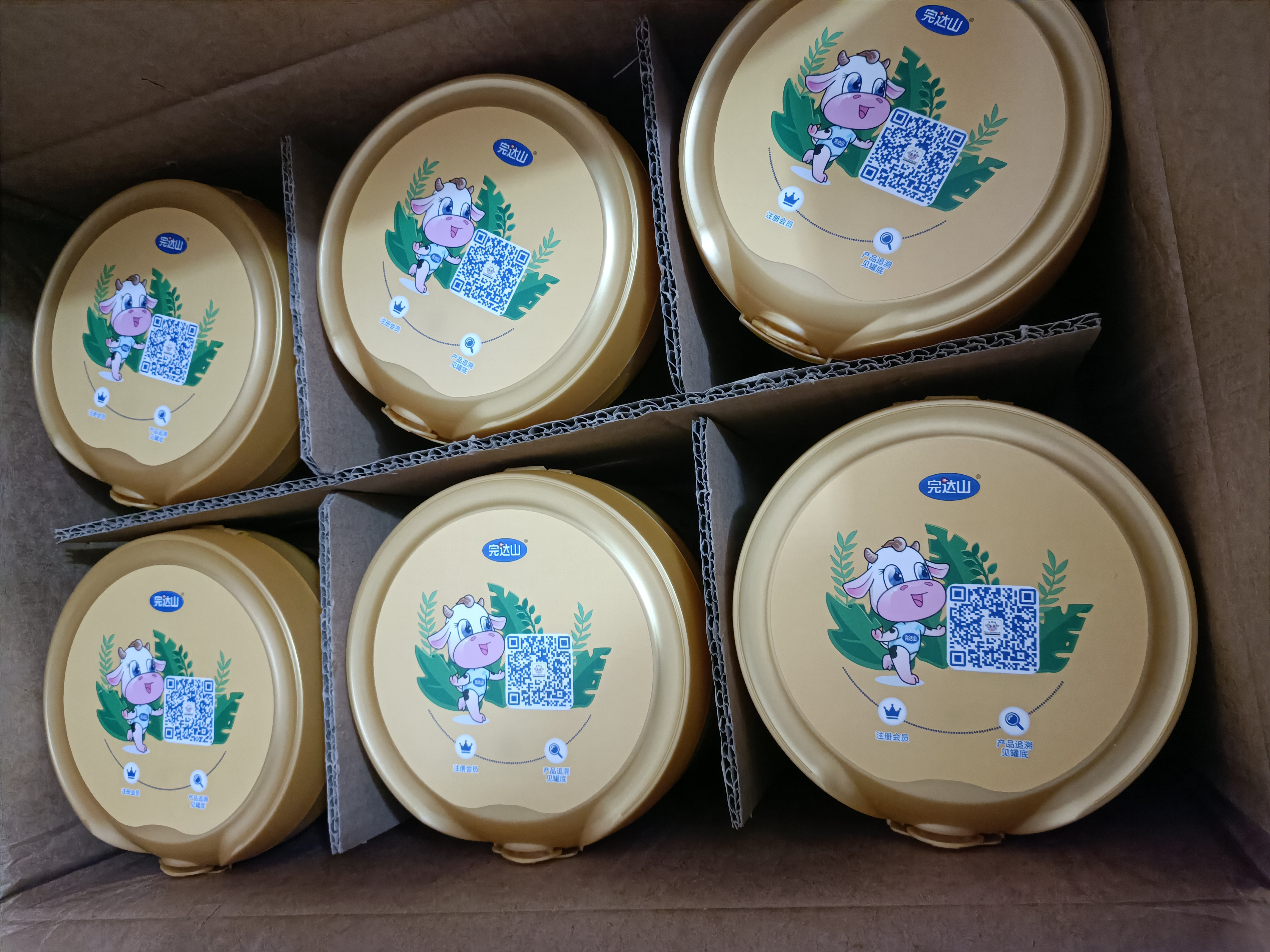 完达山新国标菁采稚护三段牛奶粉幼儿配方牛奶粉(1-3岁)3段800g罐装 3段800g*6罐/箱 实拍图