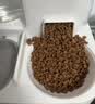 醇粹金标冻干猫粮全价鸡肉鱼肉猫粮营养均衡呵护肠胃 5kg【宠物金选】 实拍图