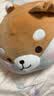 名创优品（MINISO）趣味阿柴柴犬小狗玩偶抱枕毛绒娃娃学生午睡枕沙发靠枕生日礼物 实拍图