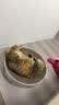 海洋之星烘焙猫粮冰川三文鱼猫粮 幼猫成猫美毛 布偶蓝猫全价鲜肉粮1.5kg 实拍图