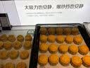 展艺低糖白莲蓉馅500g 蛋黄酥冰皮月饼馅料汤圆元宵蛋糕面包烘焙馅料 实拍图