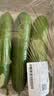 【水果菜】荷兰水果黄瓜约400g 实拍图
