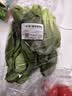 上海青约500g(油菜) 实拍图