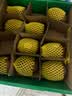 佳沛（zespri）新西兰  阳光金奇异果12粒特大果单果124-146g 猕猴桃 实拍图