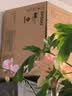 爱普生（EPSON）L6378 墨仓式彩色多功能一体机 办公家用AI云打印 （打印扫描 wifi/有线网络 自动双面复印/打印） 实拍图