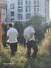 布先生明星同款可机洗毛T羊毛短袖毛衣男士针织打底衫 【小高领】钢琴黑 L (175) 实拍图
