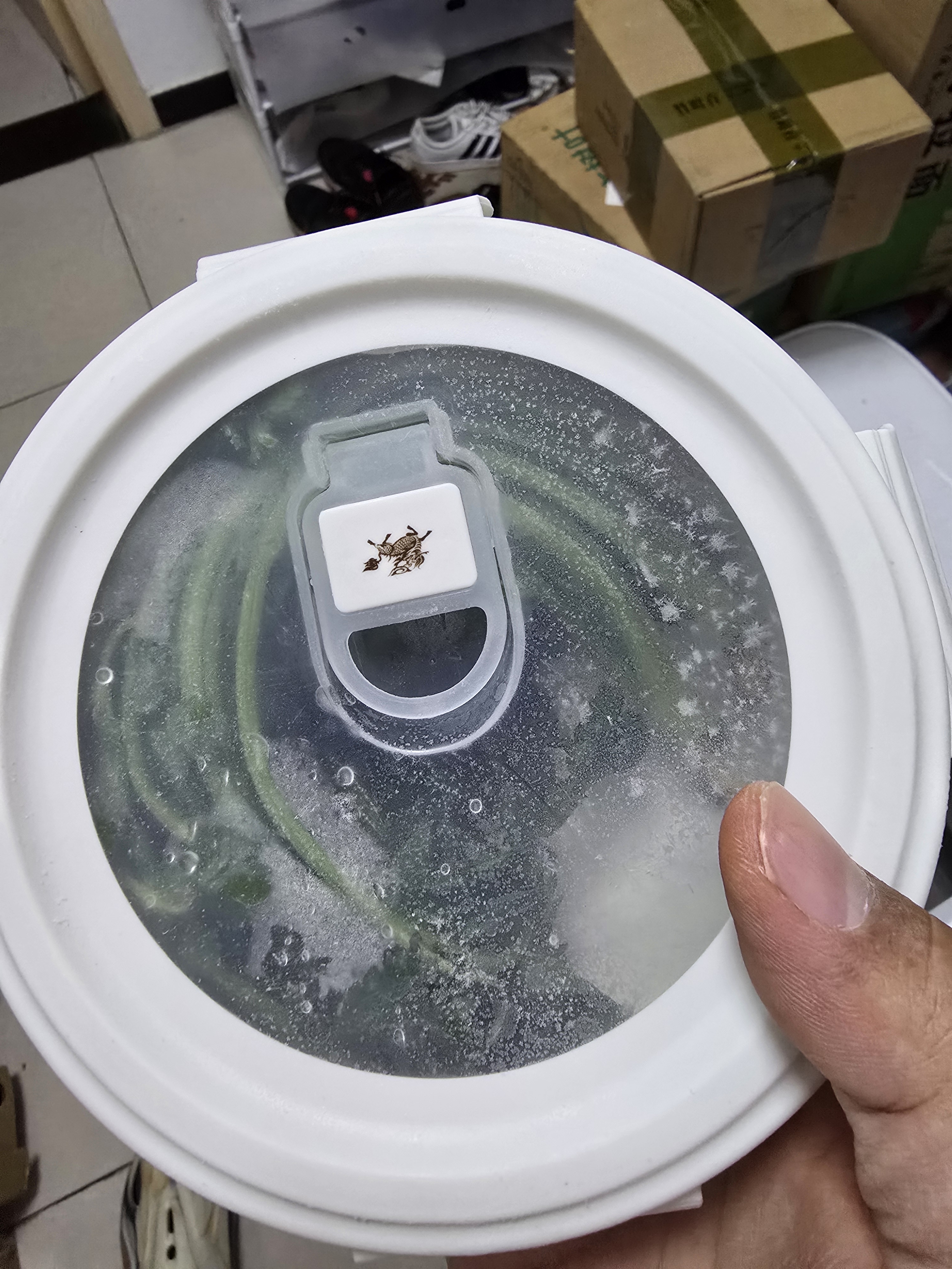 生菜紫甘蓝混合蔬菜300g 实拍图