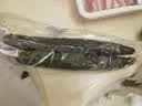 长黄瓜约600g 实拍图